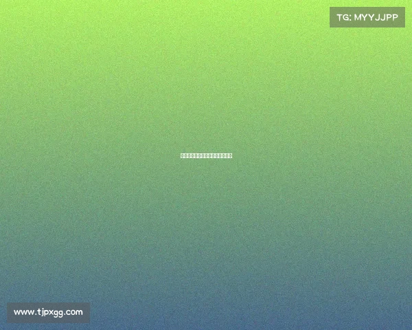 赛事公司发票—承办赛事开票内容